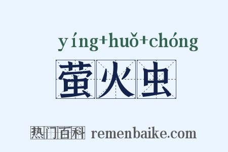 萤火虫是什么意思的图片